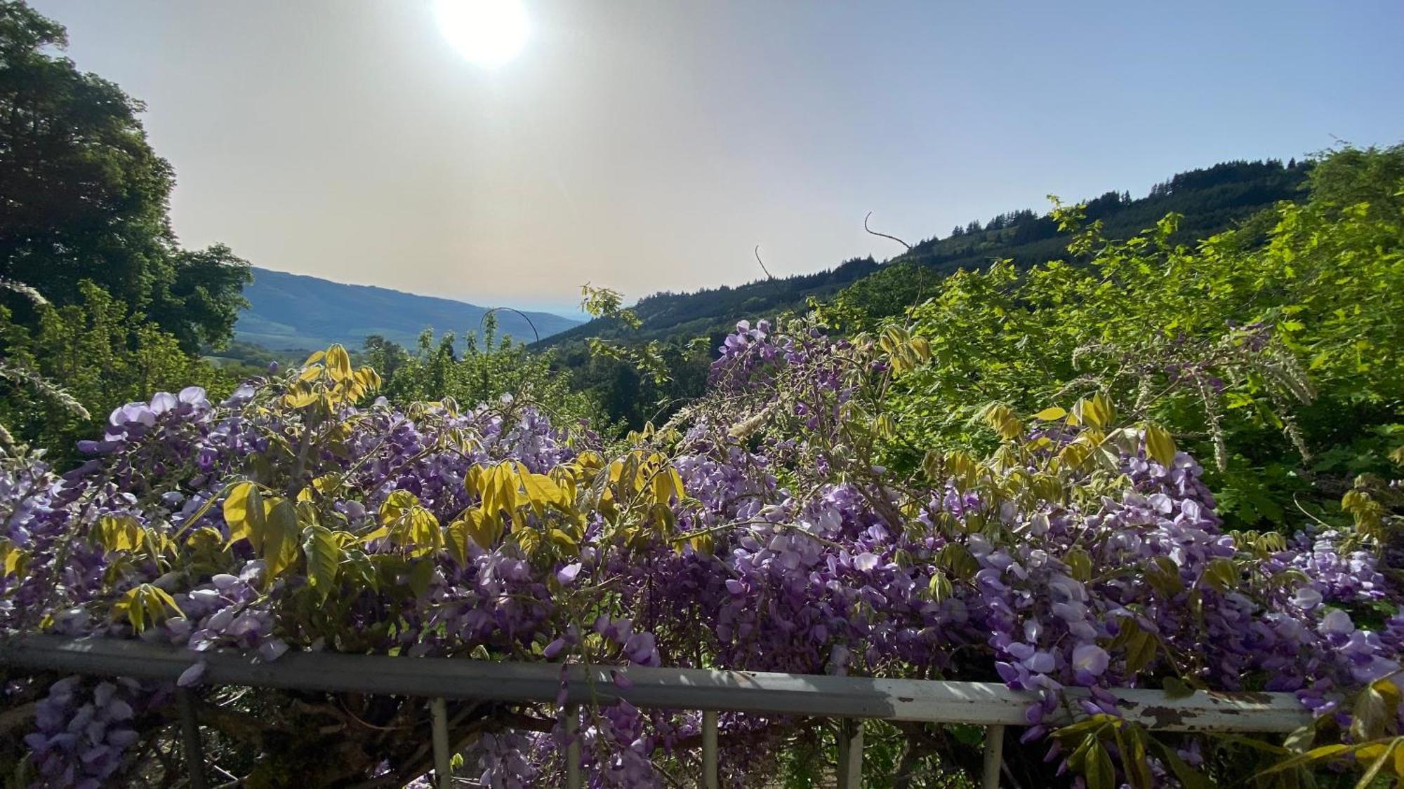 Gite Du Hameau D'Amignie Vernay المظهر الخارجي الصورة